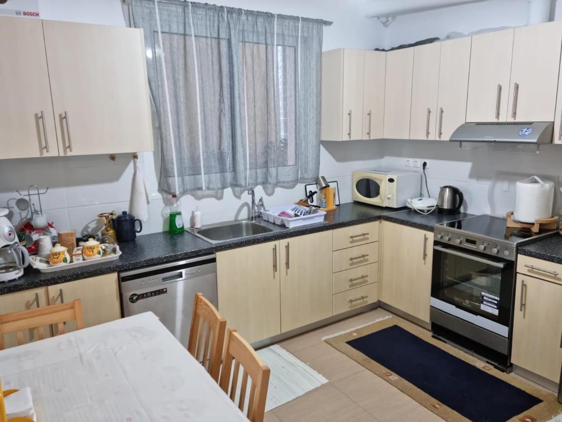 Lirika'S Airport House Apartman Ártemida Kültér fotó